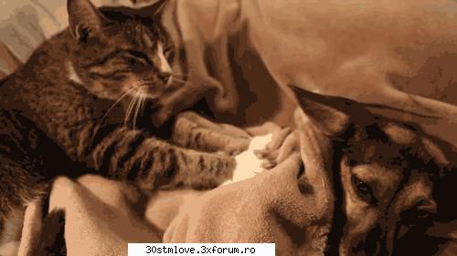 Da nota la poza - Teenager - Games
