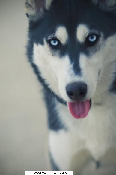Da nota la poza - Crazy Butterfly - Games