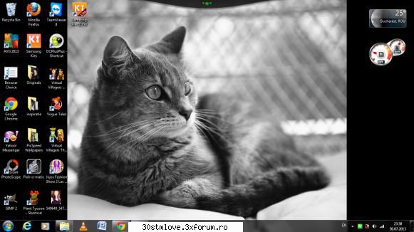 pisiciii :3 desktop