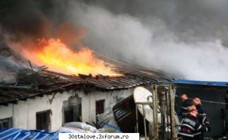 castana fermecata din somalia search google